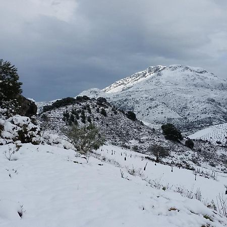 Finca Las Morenas Yunquera Eksteriør billede