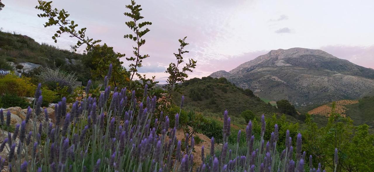 Finca Las Morenas Yunquera Eksteriør billede