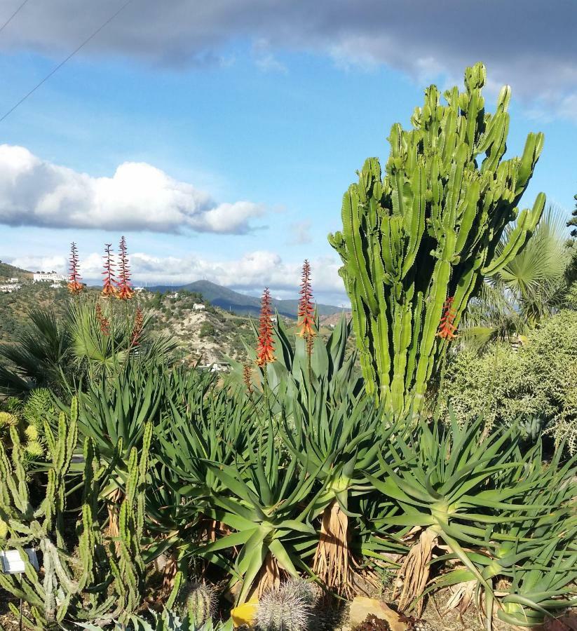 Finca Las Morenas Yunquera Eksteriør billede