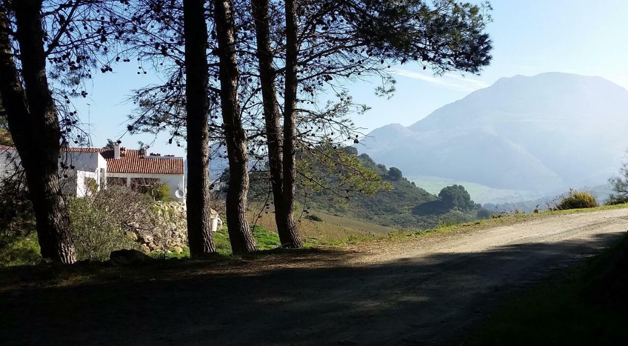 Finca Las Morenas Yunquera Eksteriør billede