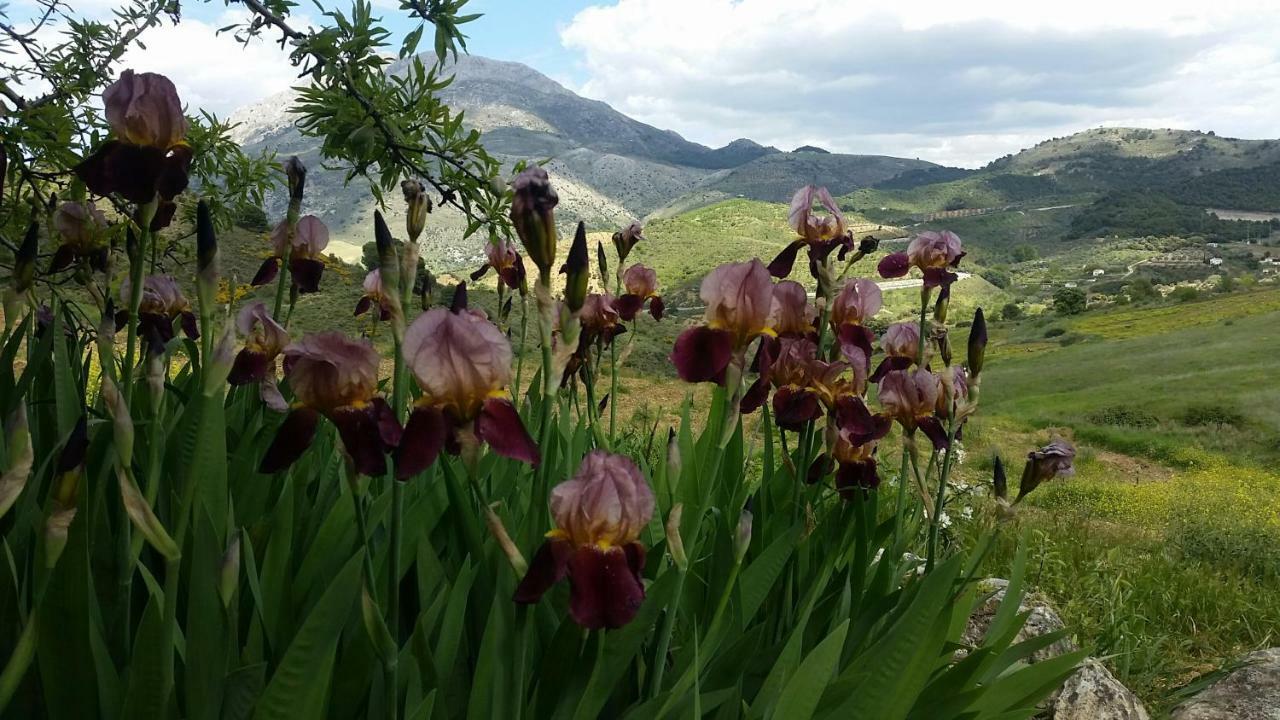 Finca Las Morenas Yunquera Eksteriør billede